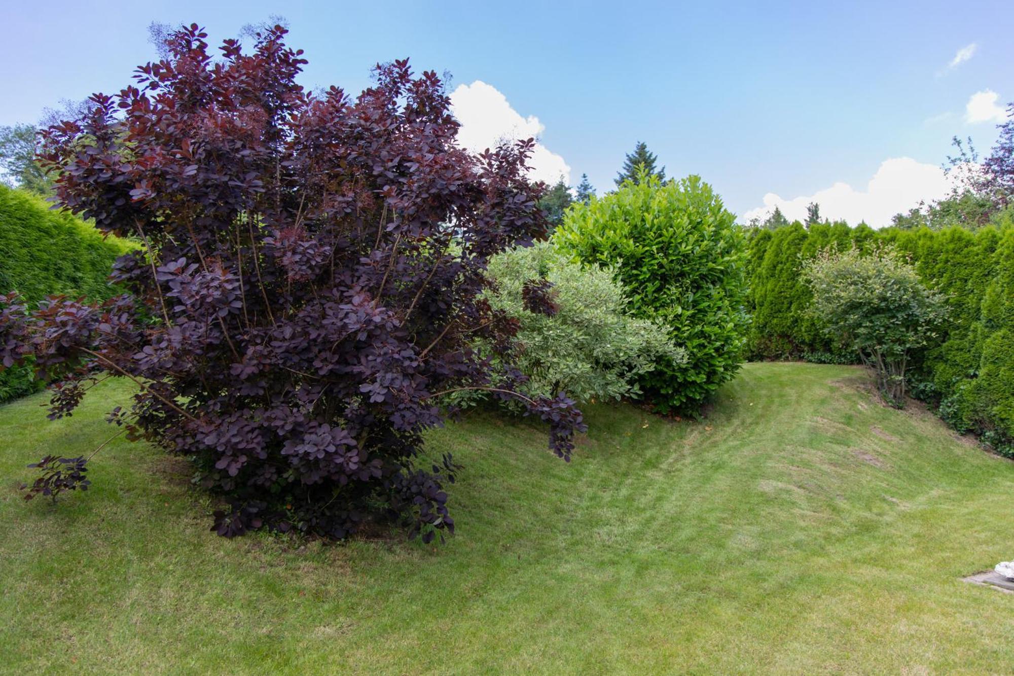 Ferienhaus Moselhoehe -Neu- Traben-Trarbach Bagian luar foto