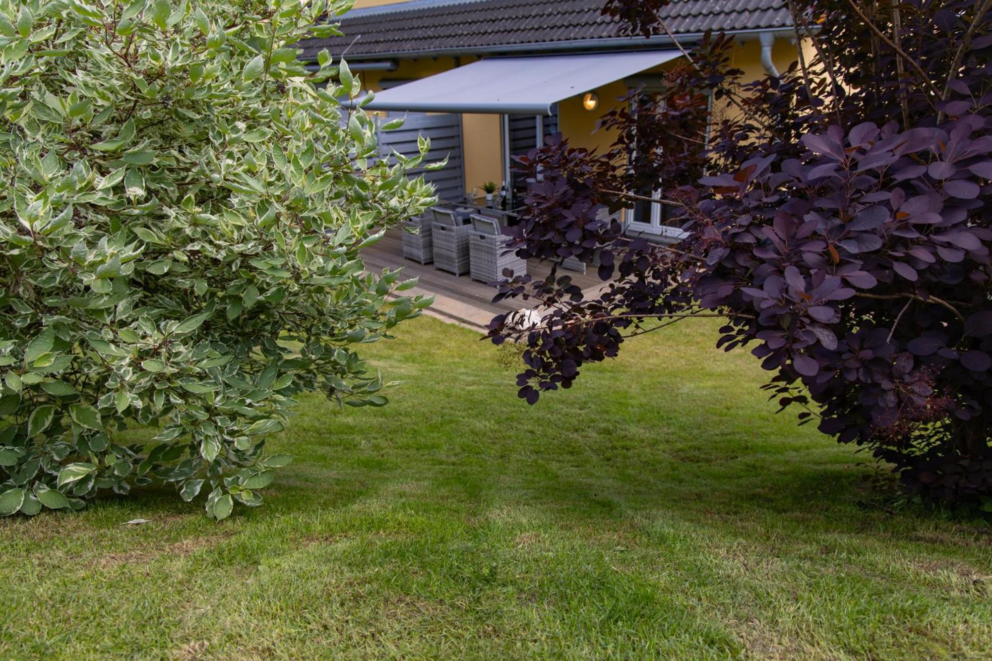 Ferienhaus Moselhoehe -Neu- Traben-Trarbach Bagian luar foto